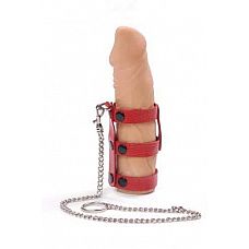 ������� ������� ������� �� �����  
���������� �� ����������� ����. ����������� � ������� ������ ��������� 10 ��. ������ �������������.