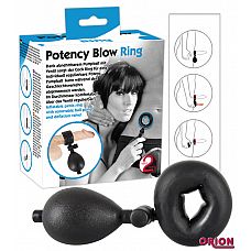    Potency Blow    
   Potency Blow  . ׸ . 