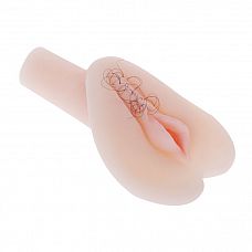����������� � ��������� Rose BM-009018 
