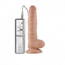     Real Extreme Large - 21,5 . 
      3     .