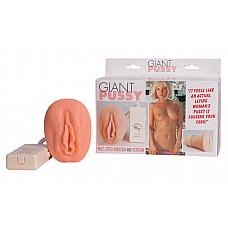 -   Giant Pussy 
   Giant Pussy.       ,   .  12 ,    139 .    3 ,   7 .     .          .