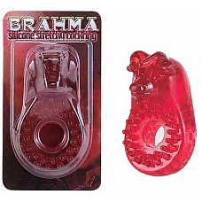 ������ ����������� *BRAHMA* 
������� ����������� ������ �� ����������� ������� � �������������� ����������� ����� � *�������� �������*. ��� ����������� ������ �� ������������� ������� �������� ��������� ����� *������ ���������*, �������� �� �������� ������������ � ������� ������ ��������������� ���������� ������ - ������ � ������������� ��������. �� � �������� ��� ������� ��� ������������, ����������� ������� ����� �������� ������� �������.

