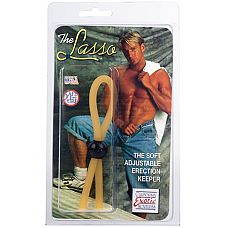 ����� ��� ������ LASSO 
����� ��� ������ LASSO ������������ ���  ���������  ������������ �� ����� �������� ����.