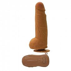 ������������ �������� Average Joe The Plumber - 17 ��. 
������������� ������������ ����� ��������� ����� �� �������� ��������� ��������� �������� � ������ ���������� ������.