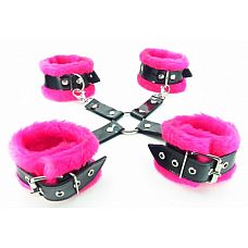       BDSM Light 760004ars 
