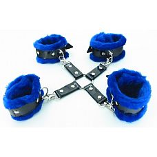       BDSM Light 760006ars 
