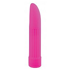 ���������� ������������ ������������ BASICX MULTISPEED VIBRATOR PURPLE 5INCH - 13 ��. 
���������� ������������ ������������ BASICX MULTISPEED VIBRATOR PURPLE 5INCH.
