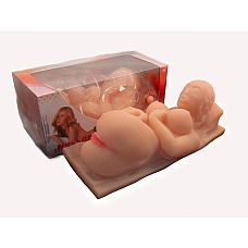 ��������� ������ � ���������  
����������� � ���� �������, ������������� �� ��������� ����������, ����������� ������ ������ ������������ �������� ����.