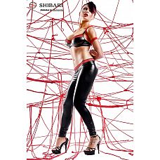 <strong>Эффектный комплект Tomiko с веревками для связывания</strong> <br />
Эффектный комплект Tomiko с веревками для связывания.<div class="charTableblock"><div><span>Цвет</span>: черный</div><div><span>Производитель</span>: Demoniq, Польша</div></div> Эффектный комплект Tomiko с веревками для связывания
Эффектный комплект Tomiko с веревками для связывания.