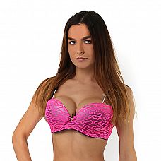 ����-������� ���������� � ������� 
����-������� ���������� � ������� �� ������ � ����������� ��������, ������� ����������, ������������ ���������� ���������.