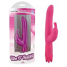   10 Function Vibe-O rabbit - 21 . 
      ,     .