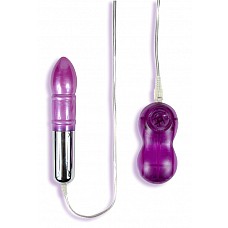 �������� SUNNY LEONE`S GRAND BLITZ BULLET  
�������� � �������� ������� ����������.