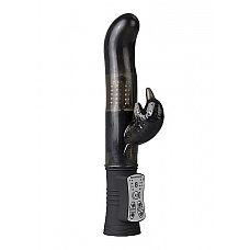  Hi-Tech Dolphin- Shotsmedia, 22   
              .