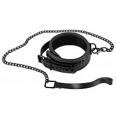       Collar with Leash 
      Collar with Leash.