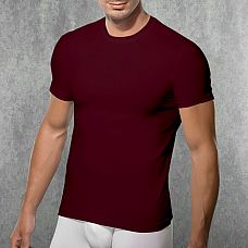 �������� �� ������ �� ��������-��������� �����  
�������� �� ������� �����.