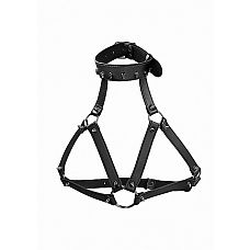  Ouch! Skulls and Bones Black SH-OU304BLK 
