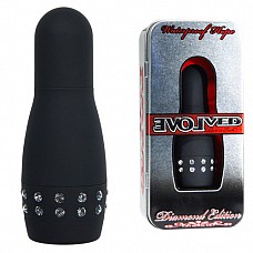 ����������������� �������� �� �������� EN-AD-0003-06-2  
������ �������� �� ������������ �������� ���������� ����� � ������������������ ����������.