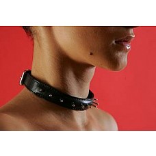 <strong>Ошейник узкий (декоративный)</strong> <br />
Ошейник узкий декоратиный с шипами. Шипы декоративные , с искусственно затупленными кончиками. Подкладка замша или мягкая кожа, материал — натуральная кожа. Размер универсальный. Ручная работа.<div class="charTableblock"><div><span>Материал</span>: кожа</div><div><span>Цвет</span>: черный</div><div><span>Производитель</span>: Подиум, Россия</div></div> Ошейник узкий (декоративный)
Ошейник узкий декоратиный с шипами. Шипы декоративные , с искусственно затупленными кончиками. Подкладка замша или мягкая кожа, материал — натуральная кожа. Размер универсальный. Ручная работа.