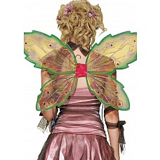 ������ ��� 
�������������� ������ ��� �����-�������� ����� � �������.