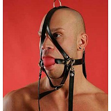 ����� � ������� �� ������� P82A 
<br>�������������: <b>������ ������</b><br/>