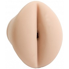 ������� �����������-����� � ���������� �������� COCK-PIT 
��� ����� ����� ���������������� ��� ��� �������� ��������� �����. ������� � �� ������ ���, ��� �������� ���� ��� ������ � �� ���� ���������� �������� ������! <br><br>
�������� ������� ����� � ���������� ��������� ����� ������� � �������, ������������� �� ���� �������� � ���������� � �������� �������� � ������ ��������!
