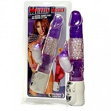 Hi-Tech       , 14  
   ,  ,       ,          .