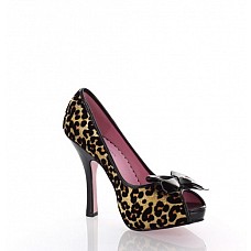  KITTY, : 13 , 37 
      ,    .