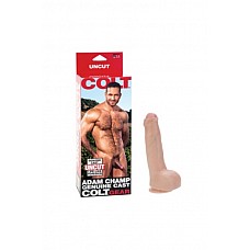 -  ADAM 8"    
- ADAM 8" -    Adam Champ     ,       ,  ,    .