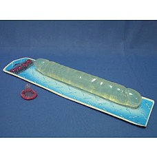 ���������� ������������� 
���������� ������ ������������� �������������.  ��������� �� ���� �����.