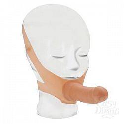  ������� �� ���������� The Original Accommodator