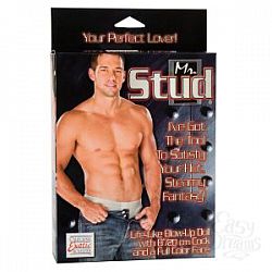  ����� ������� Mr. Stud