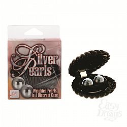  ������ �������� � ������������ ��������-�����������