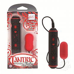  ������� �������������-������ � �������������� ������� ���������� TANTRIC