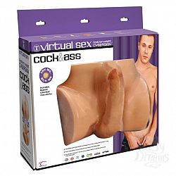  ������������ ����������� � ��������������� � ���������