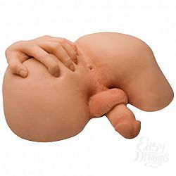  �������������� ������� ����� � ��������