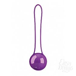   Pleasure Ball Deluxe Purple SH-SHT100DPUR