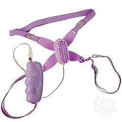  ��������� ���������� ������� Daisy � ���������