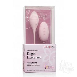  ������������� INSPIRE VIB RMT KEGEL EXERCISR