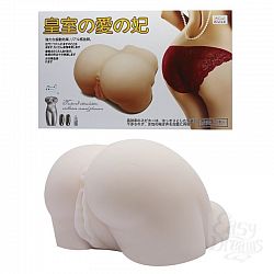  �����������-����� � ������� ���������