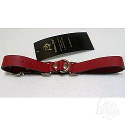  ������� �������� ��������� � �����������