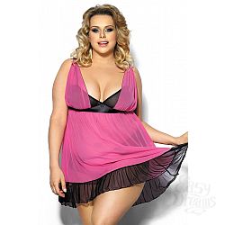  ��������� ������� Carinola