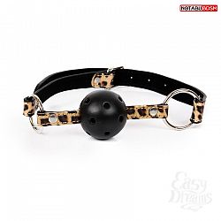   - Ball Gag   