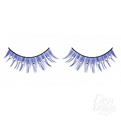  ������� ����� � �����������  ��������