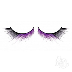  ������� �����-����������