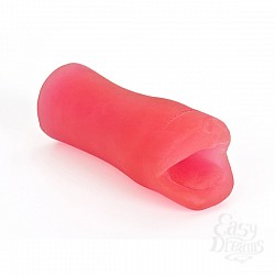  ���� �����-����������� PALM PAL