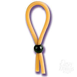  ����� �� ����� DR. JOEL KAPLAN