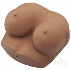  ������������ ����������� ����� ��������� NOCHES LATINAS 