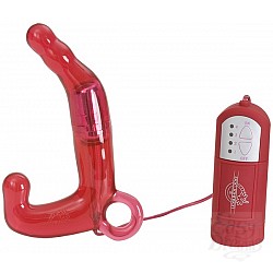  ������� ���������� PLEASURE WAND ������� 