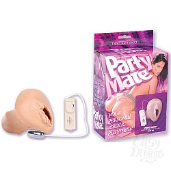  ������-����������� � ��������� SANDY 1103-00 BX DJ