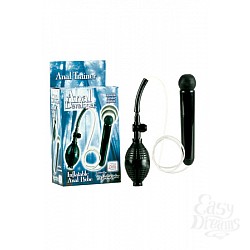  �������� ������-����������� Anal Developer ������